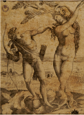 Musi Agostino detto Agostino Veneziano - Apollo e Dafne